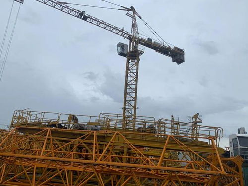 金山有序开展租金减免,为企业减负护航