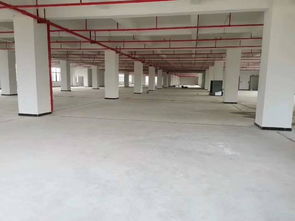 顺德食品厂7200平招租,证件齐全,可办环评,可分