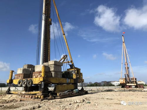 温岭创新工业用地“先租后让”模式获全省推广，助力企业高效发展